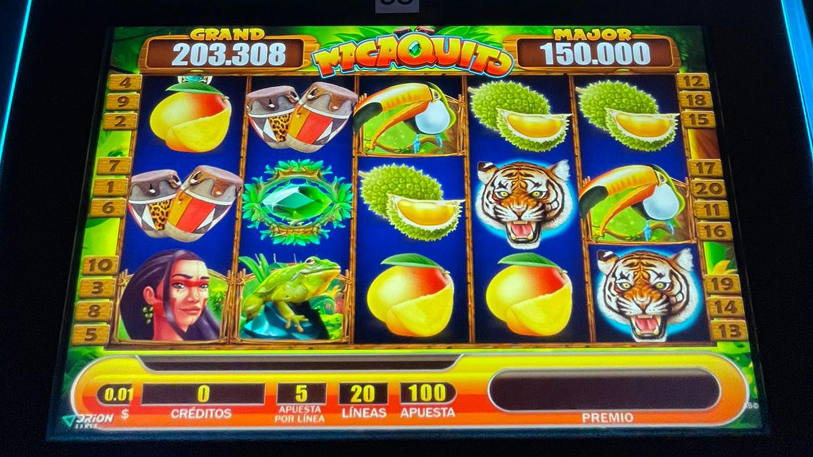 Juego Orion Zoe | macaco
